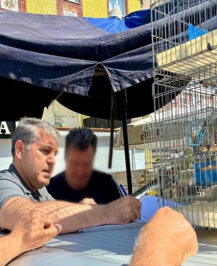 Antalya’da Papağan Operasyonu: 41 Papağan Ele Geçirildi