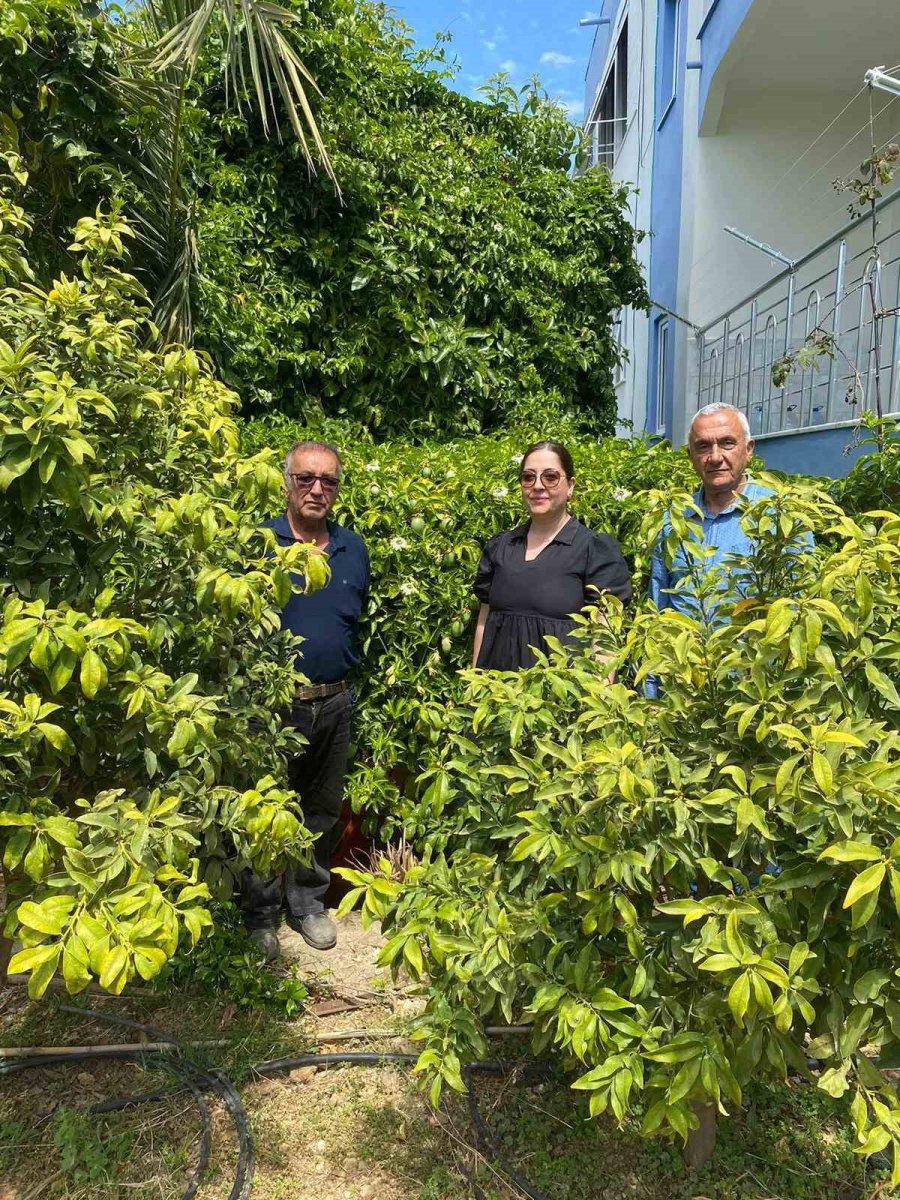 Gazipaşa’da Üreticiler Bilgilendiriliyor