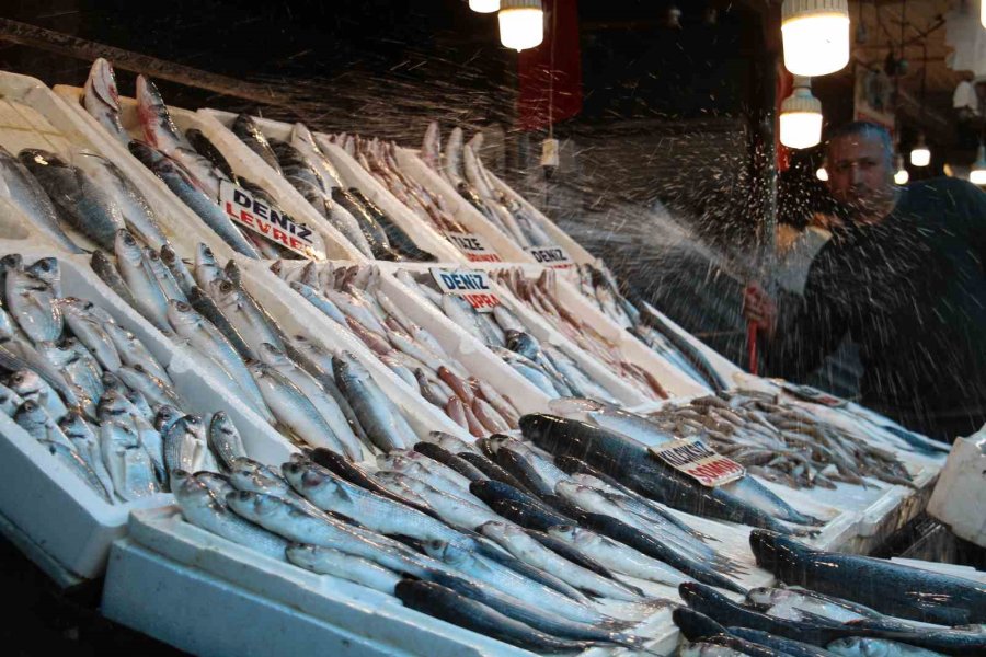 Av Yasağının Başlamasıyla Balık Çeşitliliği Azalacak, Fiyatlar Aynı Kalacak