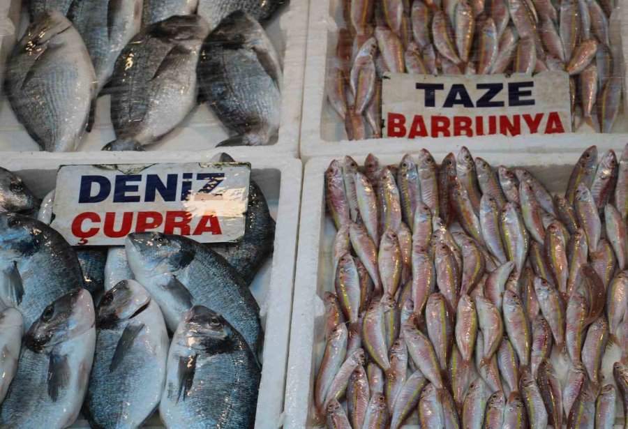 Av Yasağının Başlamasıyla Balık Çeşitliliği Azalacak, Fiyatlar Aynı Kalacak