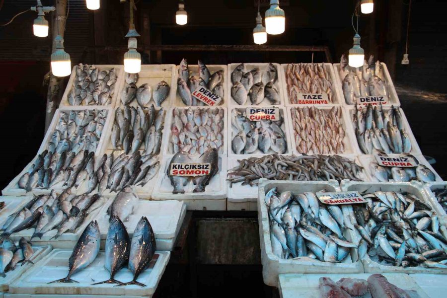 Av Yasağının Başlamasıyla Balık Çeşitliliği Azalacak, Fiyatlar Aynı Kalacak