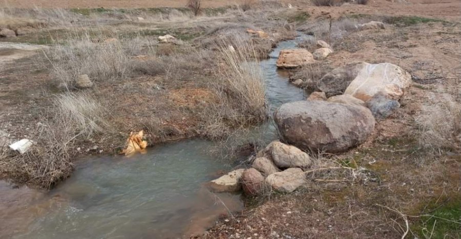 Develili Bağcılardan Vali’ye Mektup