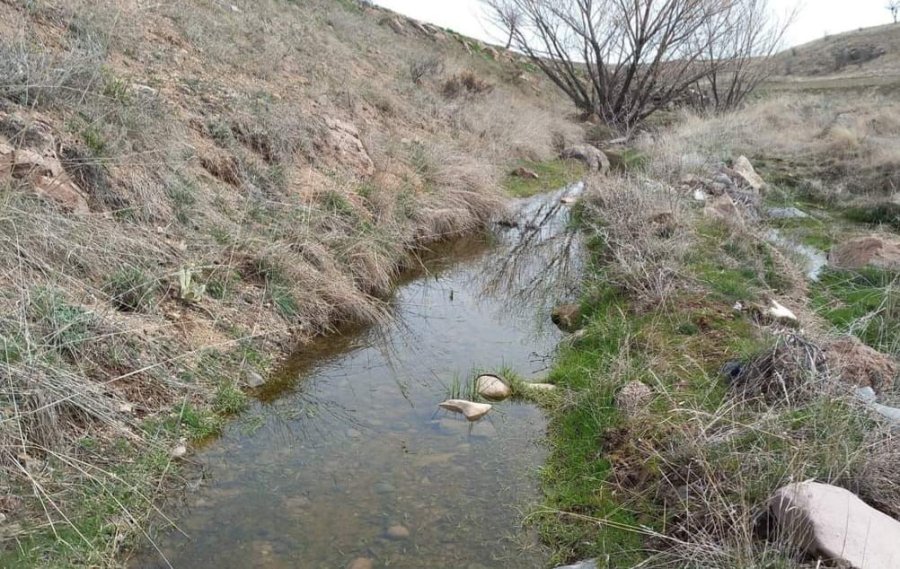 Develili Bağcılardan Vali’ye Mektup