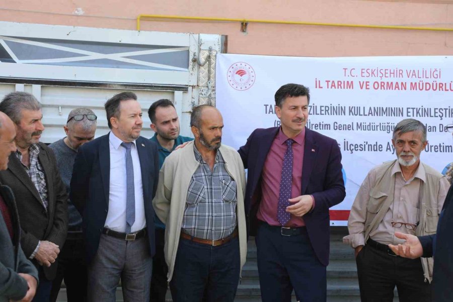 Odunpazarı Ve Tepebaşı İlçelerinde Ayçiçeği Üretimine Destek