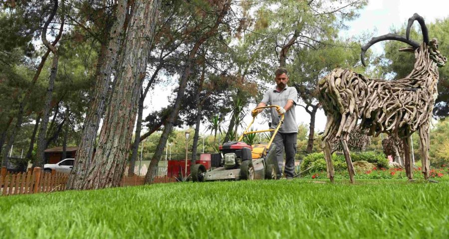 Hayatpark Çiçek Gibi Oldu