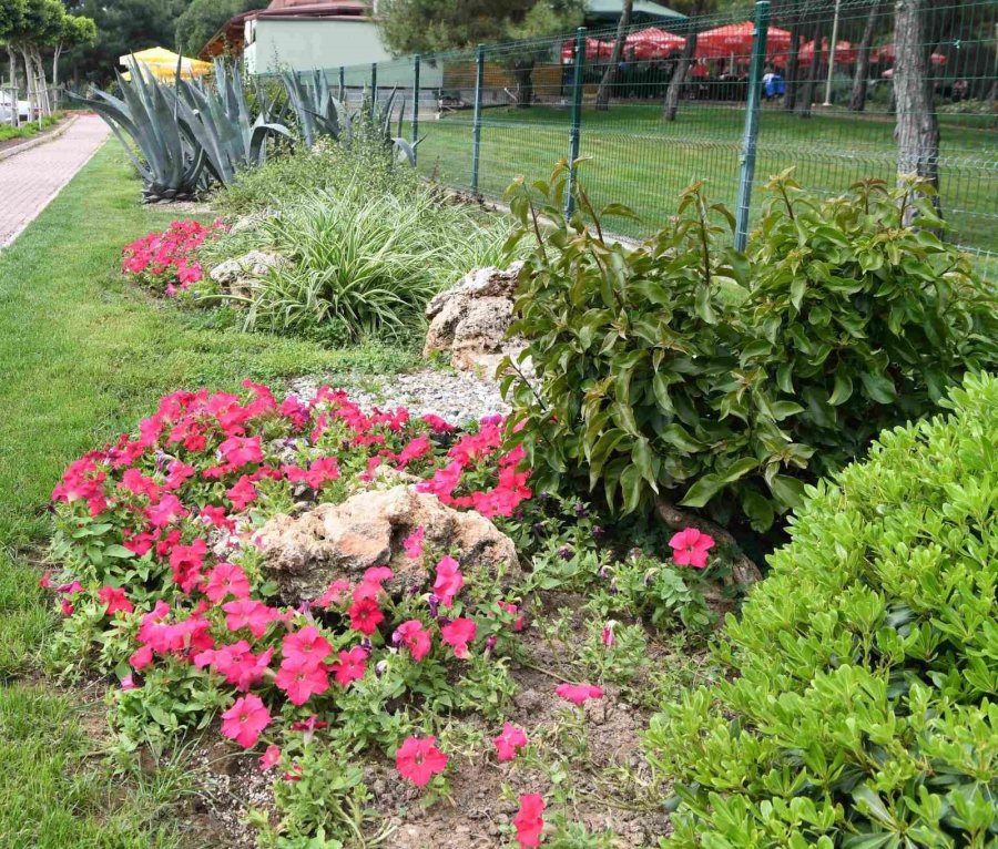 Hayatpark Çiçek Gibi Oldu