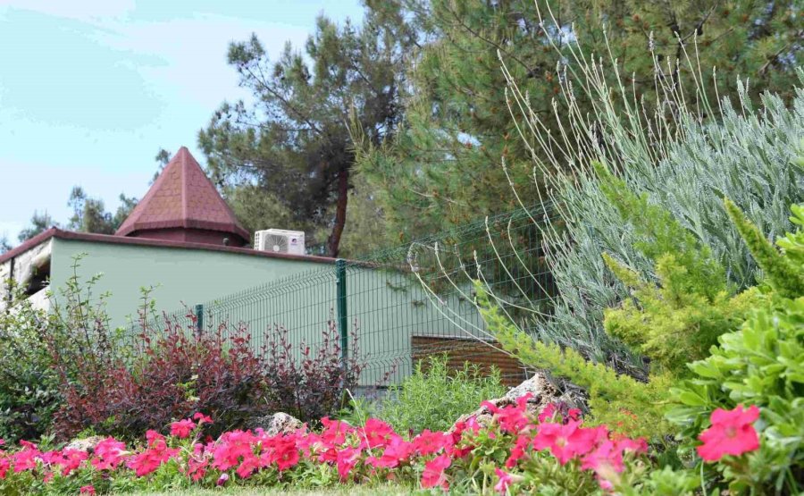 Hayatpark Çiçek Gibi Oldu