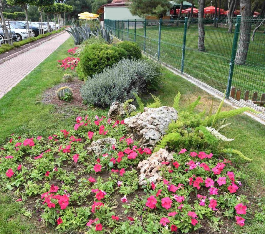 Hayatpark Çiçek Gibi Oldu