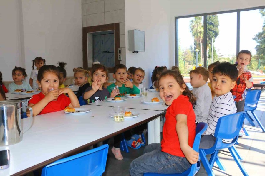 Sedir Kreşi Ailelerin Gözdesi Oldu