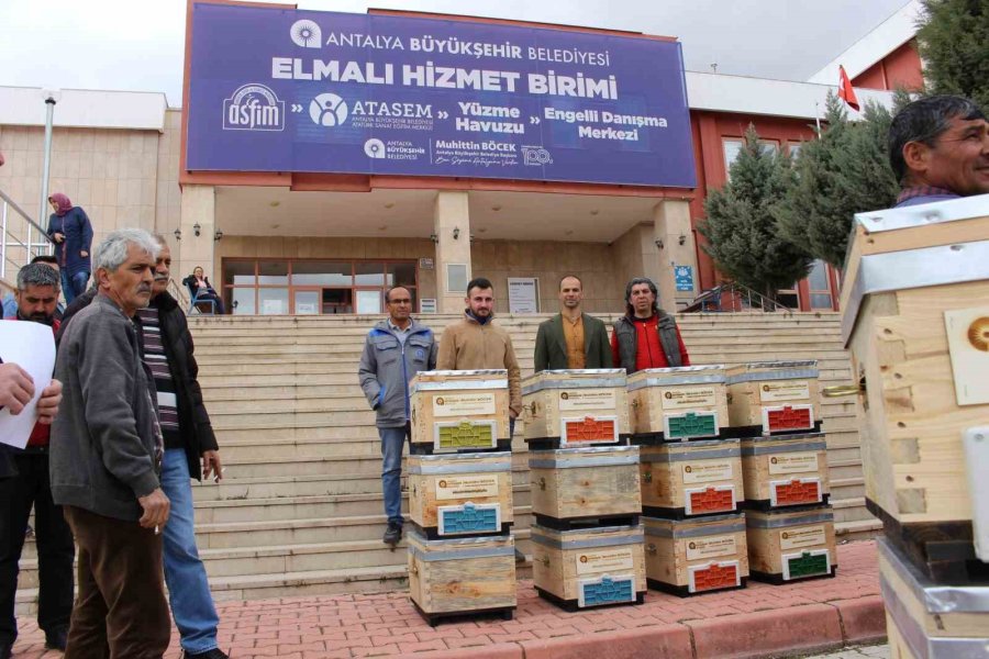 Büyükşehirden Kadınlara Hamur Karma, Ceviz Ve Salça Makinesi