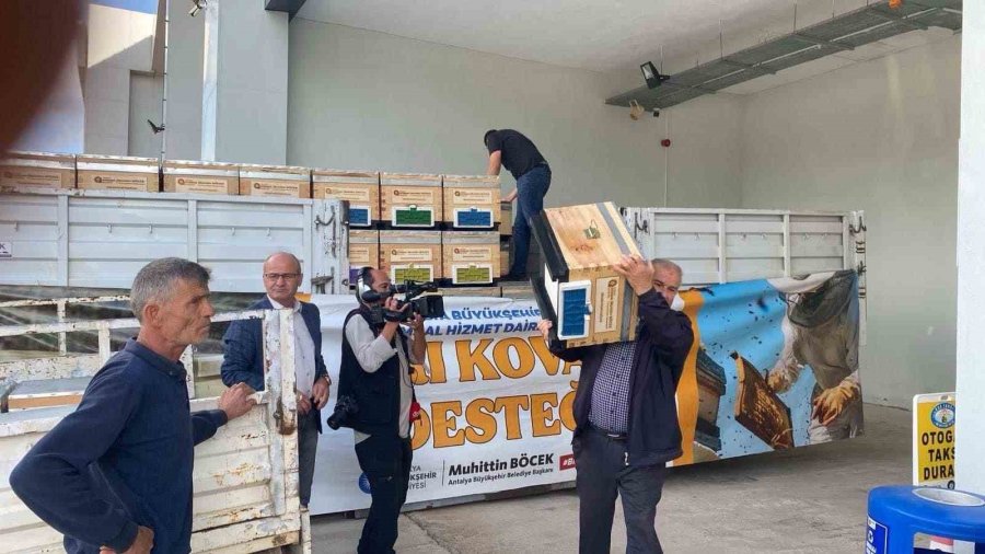 Büyükşehirden Kadınlara Hamur Karma, Ceviz Ve Salça Makinesi