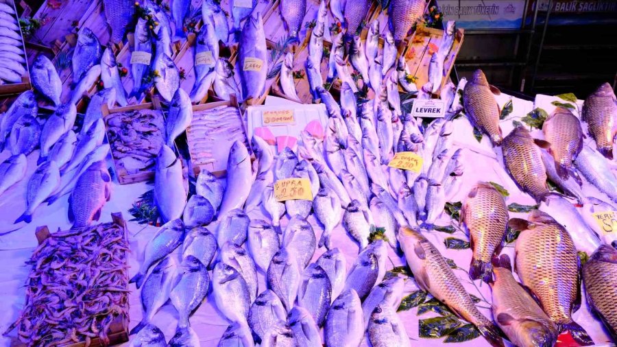 Eskişehir’de Havalar Isındı Balıkçı Esnafın Satışları Azaldı