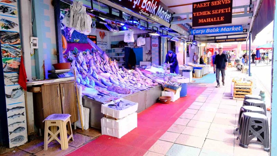 Eskişehir’de Havalar Isındı Balıkçı Esnafın Satışları Azaldı