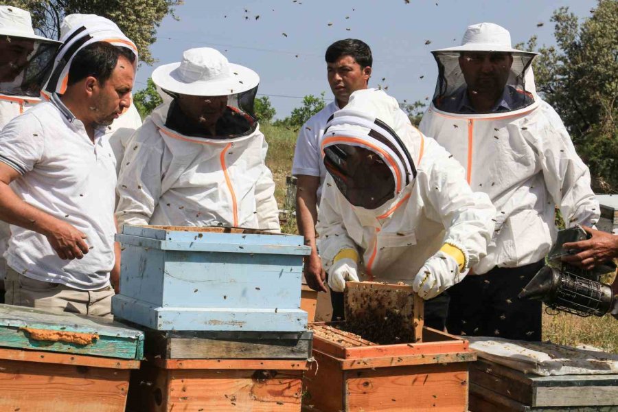 Mersin’de ’narenciye Balı Hasat Şenliği’ Düzenlendi