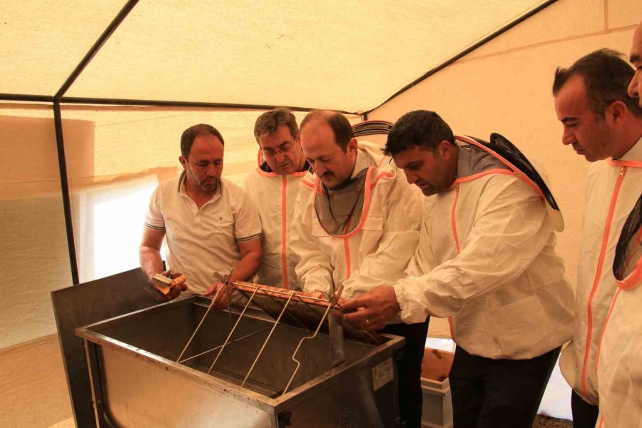 Mersin’de ’narenciye Balı Hasat Şenliği’ Düzenlendi