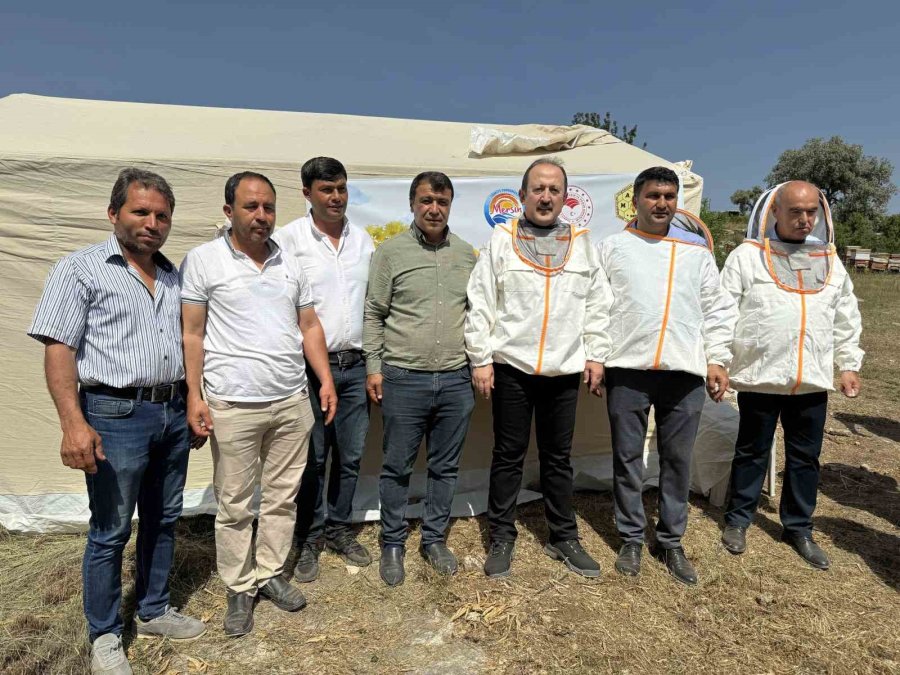 Mersin’de ’narenciye Balı Hasat Şenliği’ Düzenlendi