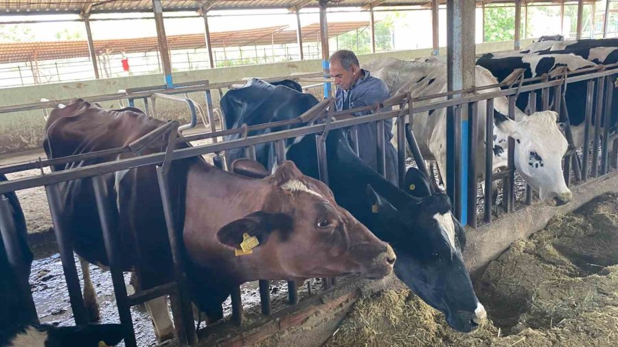 Akdeniz Üniversitesi, Antalyalıların Gıda İhtiyaçlarını Karşılayacak