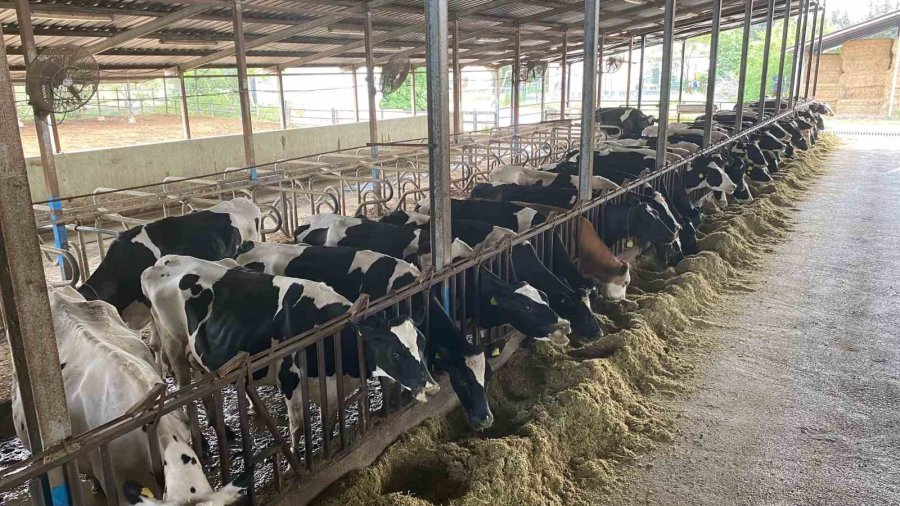 Akdeniz Üniversitesi, Antalyalıların Gıda İhtiyaçlarını Karşılayacak