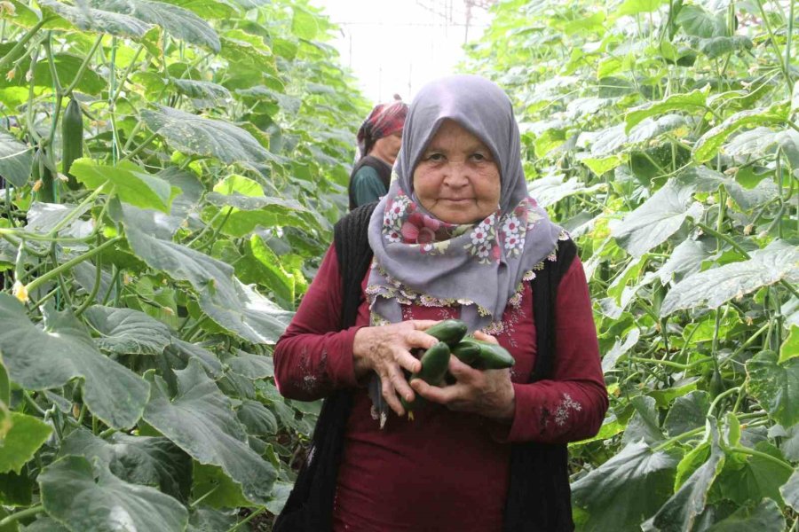 Akdeniz Üniversitesi, Antalyalıların Gıda İhtiyaçlarını Karşılayacak