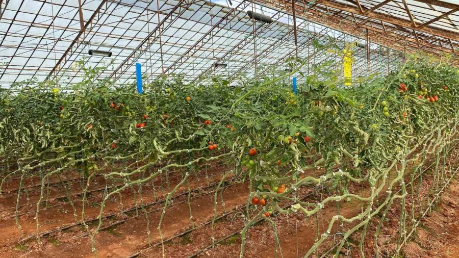 Akdeniz Üniversitesi, Antalyalıların Gıda İhtiyaçlarını Karşılayacak