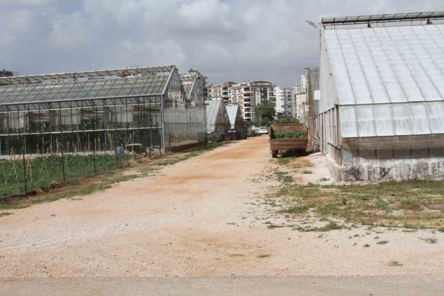 Akdeniz Üniversitesi, Antalyalıların Gıda İhtiyaçlarını Karşılayacak