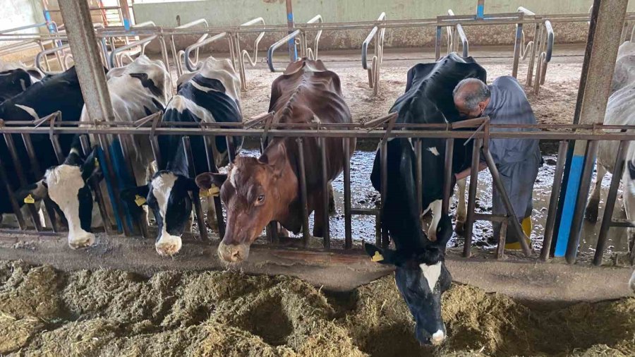 Akdeniz Üniversitesi, Antalyalıların Gıda İhtiyaçlarını Karşılayacak