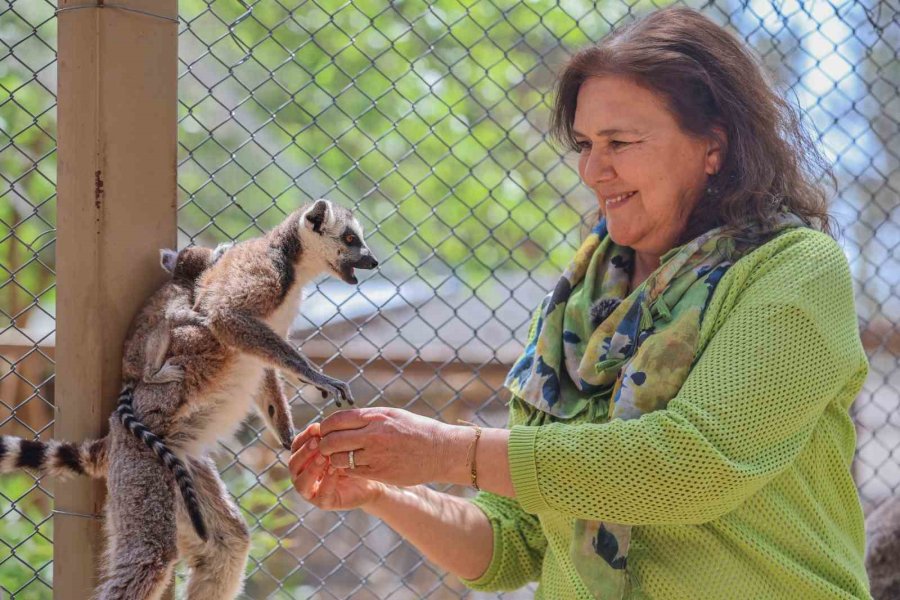 Antalya Doğal Yaşam Parkı, Yeni Yavrularla Coşkulu Bir Bahar Yaşıyor