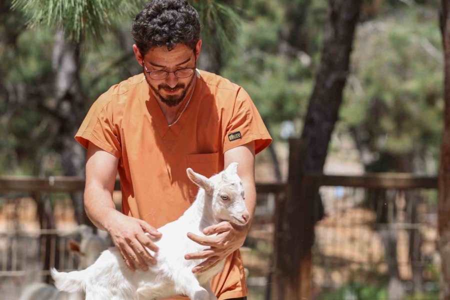 Antalya Doğal Yaşam Parkı, Yeni Yavrularla Coşkulu Bir Bahar Yaşıyor