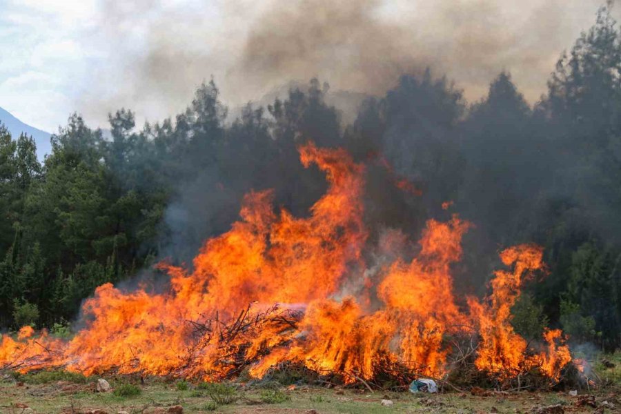 Antalya’da Nefes Kesen Orman Yangını Tatbikatına 2 Sikorsky Helikopter Ve 3 Uçak Destek Verdi