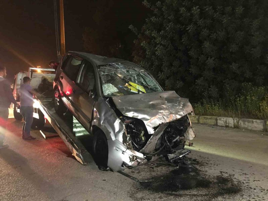 15 Metrelik Uçurumdan Uçtular, Hayatlarını Ağaç Kurtardı