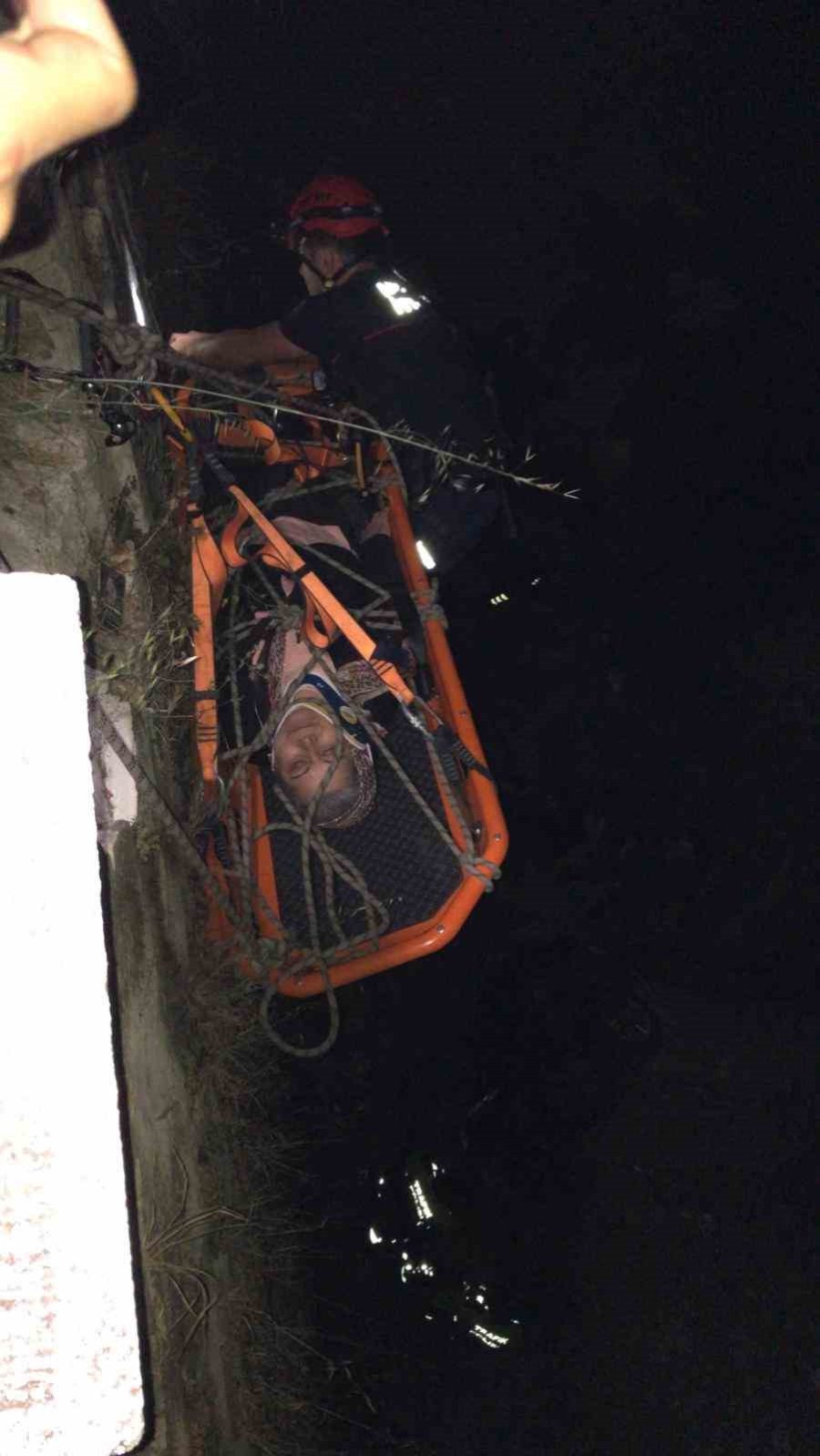 15 Metrelik Uçurumdan Uçtular, Hayatlarını Ağaç Kurtardı