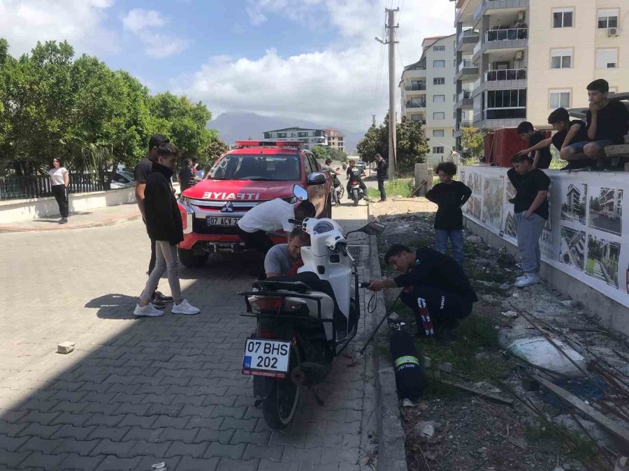 Gazipaşa’da Yılan Paniği