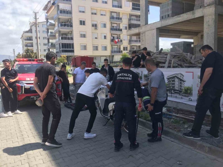 Gazipaşa’da Yılan Paniği