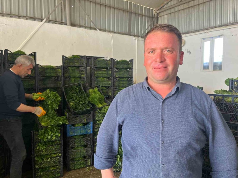 Enflasyonda Düşüşe ’yeşillik’ Desteği