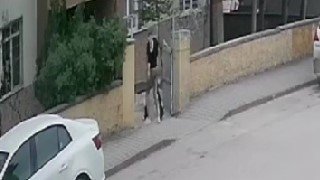 Farklı İlçelerde 3 Hırsızlık Olayına Karışan 2 Şüpheli Yakalandı