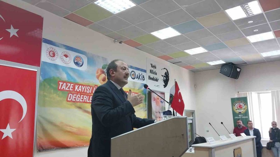 Mut’ta "taze Kayısı Üretim Ve İhracatını Değerlendirme Toplantısı" Yapıldı
