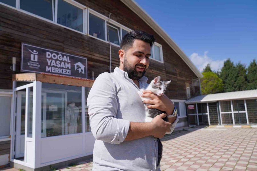 Dört ’can’ Daha Sıcak Yuvasına Kavuştu