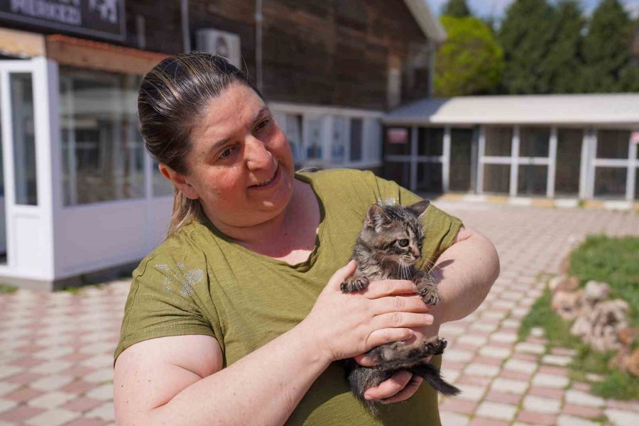 Dört ’can’ Daha Sıcak Yuvasına Kavuştu