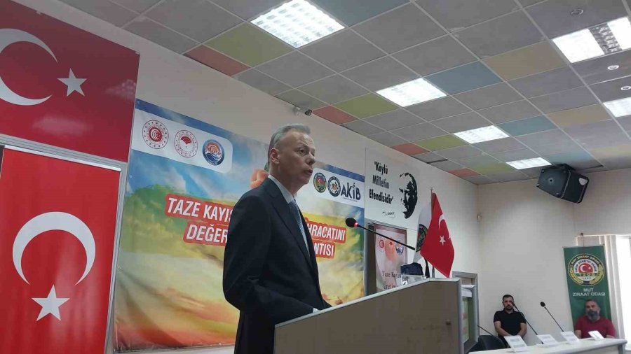 Mut’ta "taze Kayısı Üretim Ve İhracatını Değerlendirme Toplantısı" Yapıldı