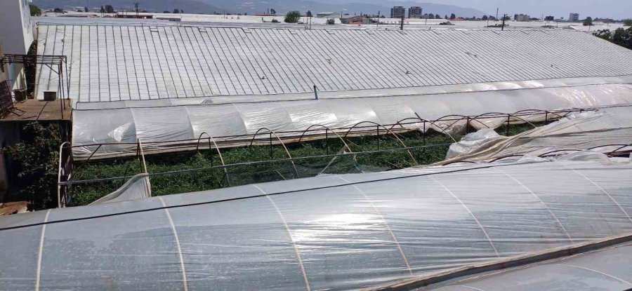 Şiddetli Rüzgar Seralara Zarar Verdi