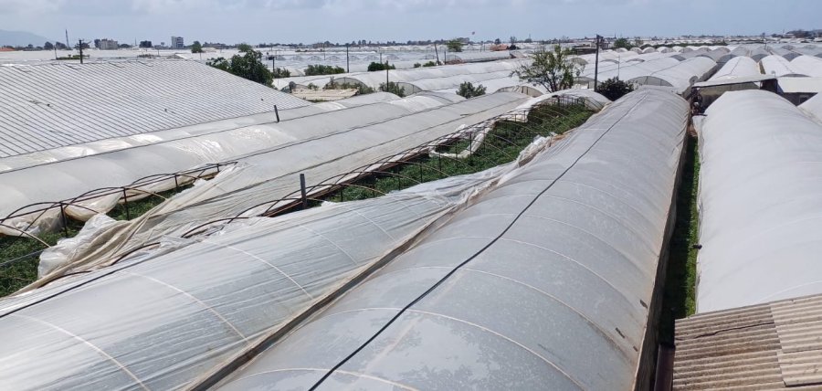 Şiddetli Rüzgar Seralara Zarar Verdi