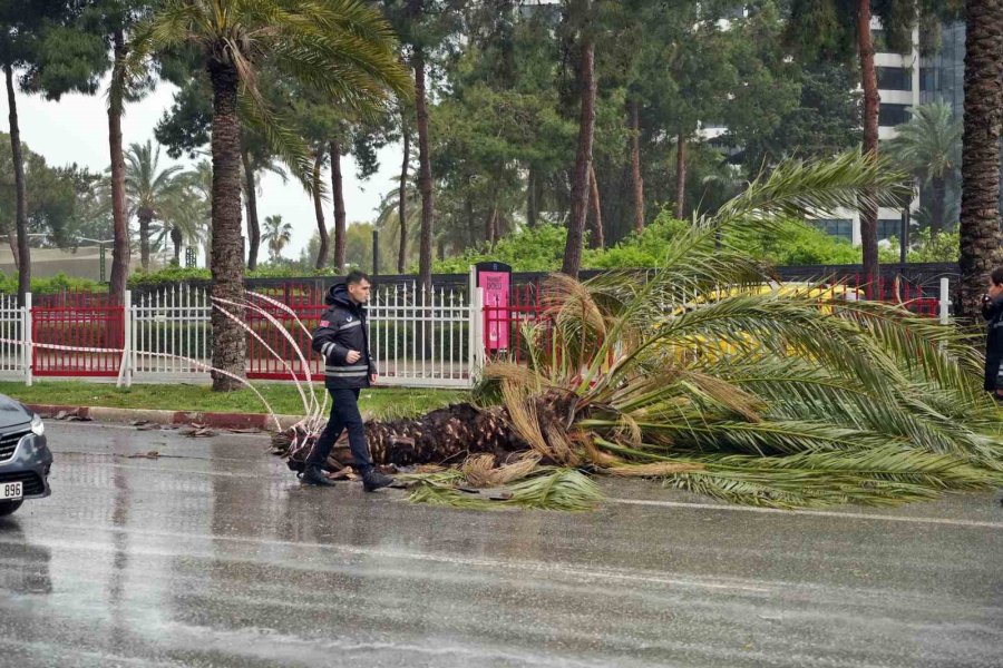 Sarı Kodla Uyarılan Antalya’da Şiddetli Rüzgar Etkili Oluyor