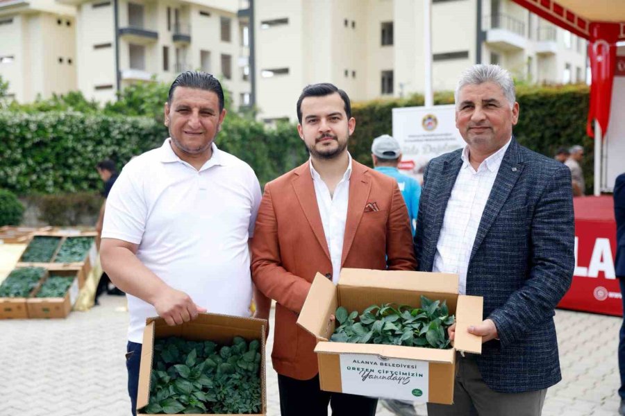 Alanya Belediyesi’nden Kırsal Mahallelere 311 Bin Fide Desteği
