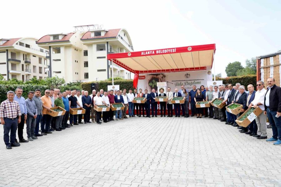 Alanya Belediyesi’nden Kırsal Mahallelere 311 Bin Fide Desteği