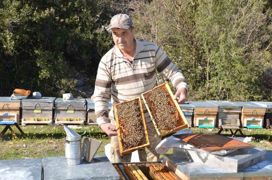 Arıcılar Yeni Sezona Hazırlanıyor
