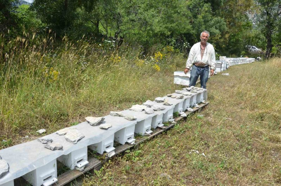 Arıcılar Yeni Sezona Hazırlanıyor