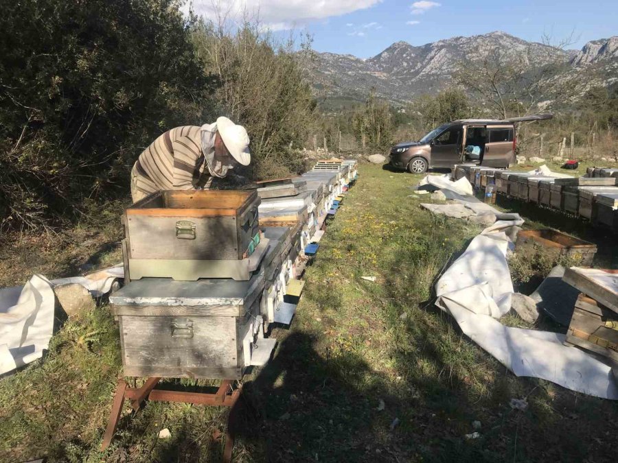 Arıcılar Yeni Sezona Hazırlanıyor