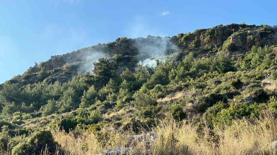 Alanya’da Orman Yangını