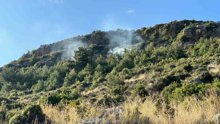Alanya’da Orman Yangını