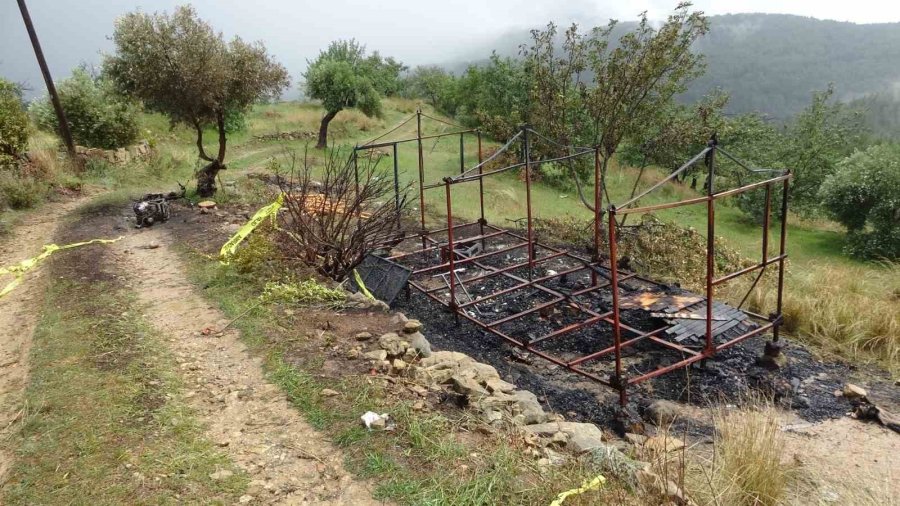 Ahşap Barakada Çıkan Yangında 2 Köpeği İle Birlikte Feci Şekilde Can Verdi